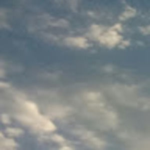 Meet your Posher, Geraldine